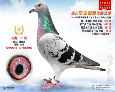 四川东坡决赛79名