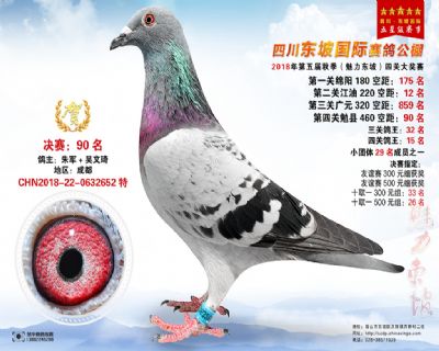 四川东坡决赛90名