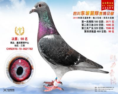 四川东坡决赛98名