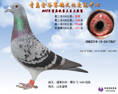 青岛金谷决赛冠军