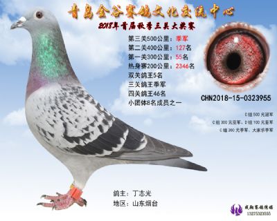 青岛金谷决赛季军