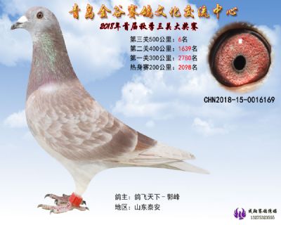 青岛金谷决赛6名