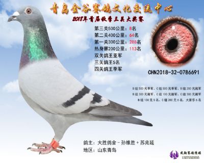 青岛金谷决赛8名
