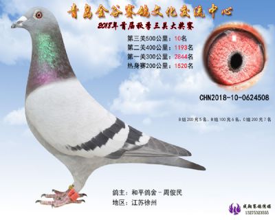 青岛金谷决赛10名