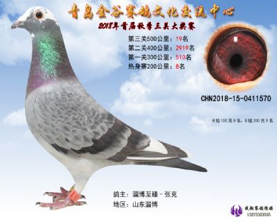 青岛金谷决赛19名