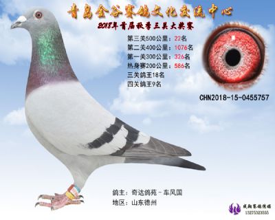 青岛金谷决赛22名