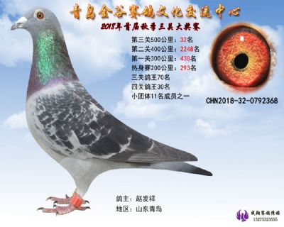 青岛金谷决赛32名