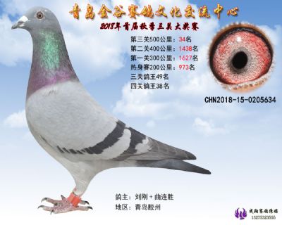 青岛金谷决赛34名