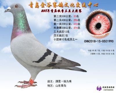 青岛金谷决赛33名