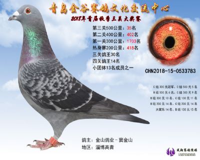 青岛金谷决赛35名