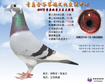 青岛金谷决赛38名