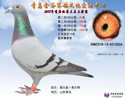 青岛金谷决赛41名