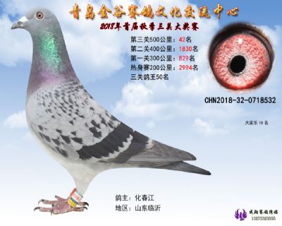 青岛金谷决赛42名