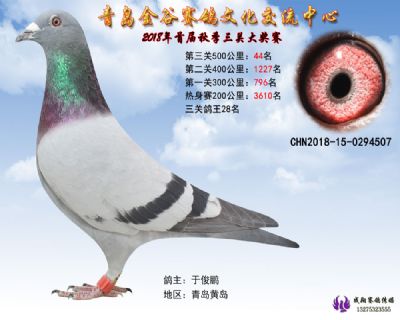 青岛金谷决赛44名