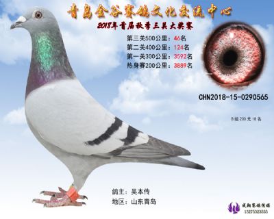 青岛金谷决赛46名