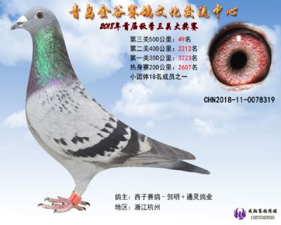 青岛金谷决赛49名