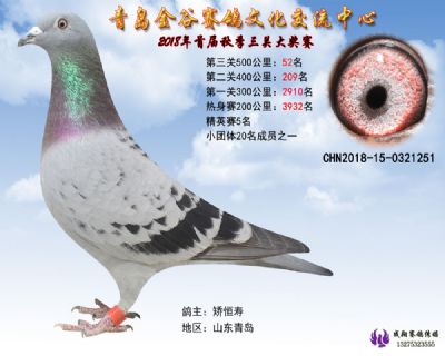 青岛金谷决赛52名