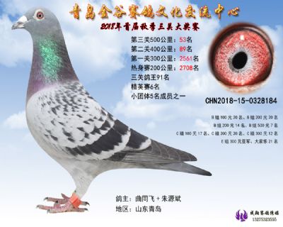 青岛金谷决赛53名