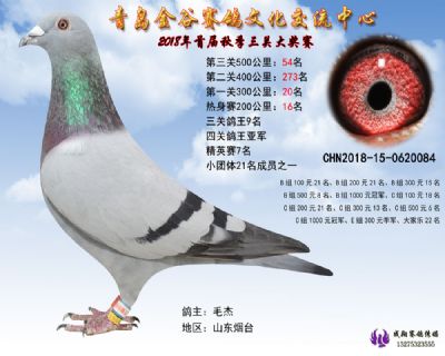 青岛金谷决赛54名