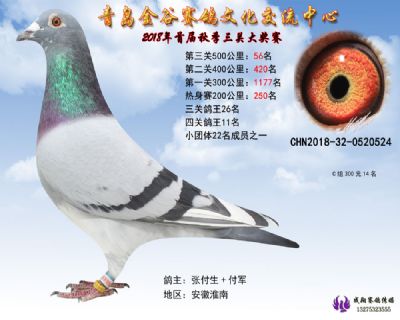 青岛金谷决赛56名