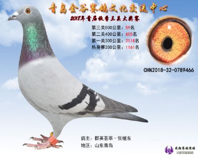 青岛金谷决赛59名