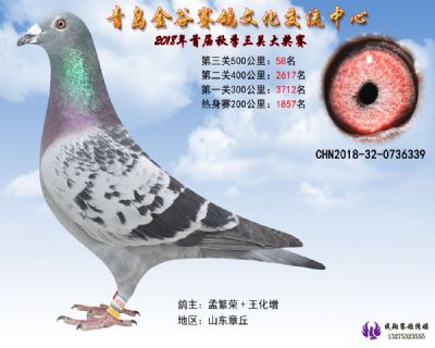 青岛金谷决赛58名