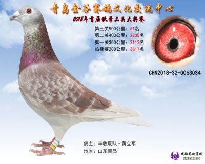 青岛金谷决赛61名