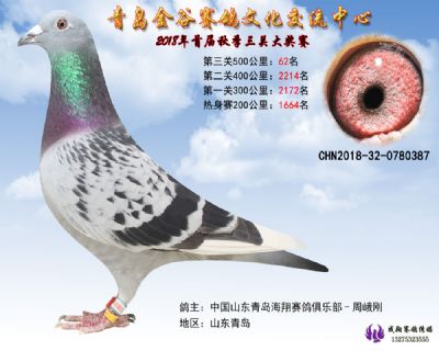 青岛金谷决赛62名