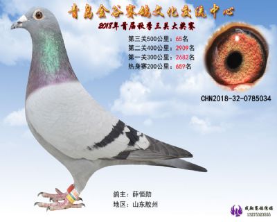 青岛金谷决赛65名