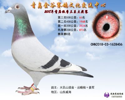 青岛金谷决赛66名