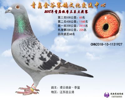 青岛金谷决赛68名