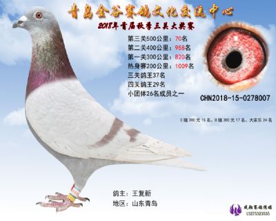 青岛金谷决赛70名