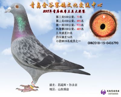 青岛金谷决赛72名