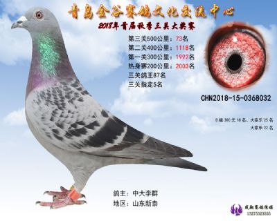 青岛金谷决赛73名