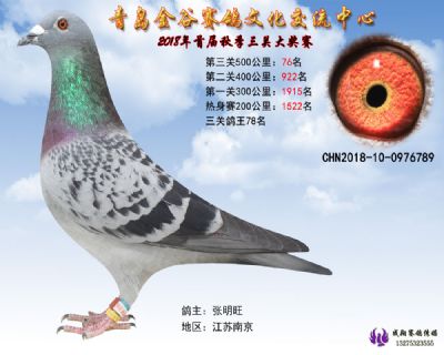 青岛金谷决赛76名
