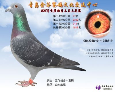 青岛金谷决赛77名