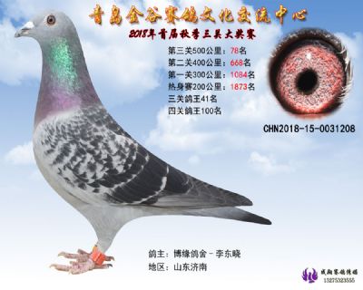 青岛金谷决赛78名
