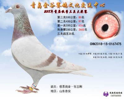 青岛金谷决赛80名