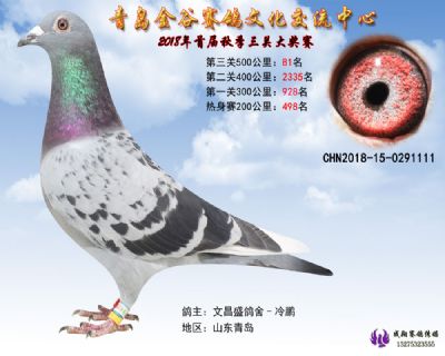青岛金谷决赛81名