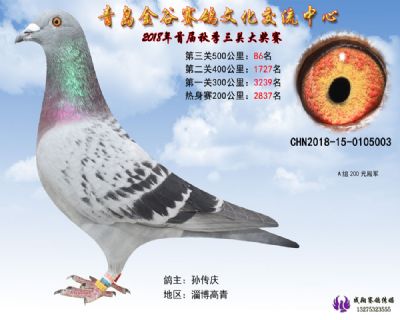 青岛金谷决赛86名
