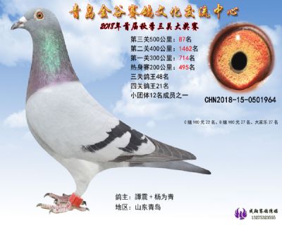青岛金谷决赛87名