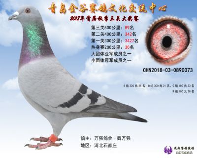 青岛金谷决赛89名