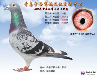 青岛金谷决赛94名