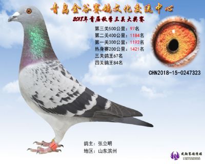 青岛金谷决赛97名