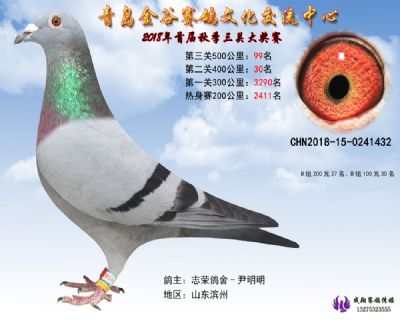 青岛金谷决赛99名