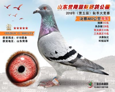 山东誉翔决赛季军