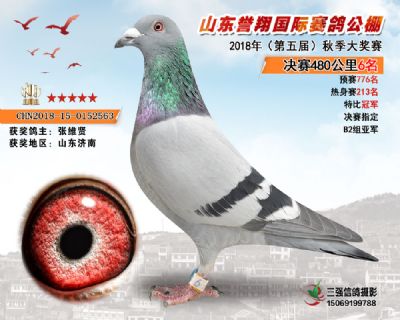山东誉翔决赛6名