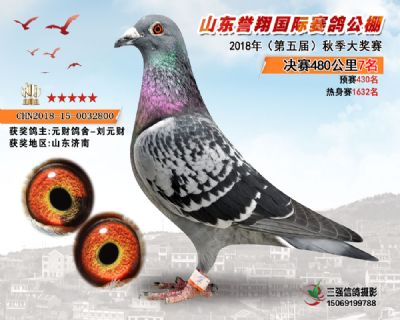山东誉翔决赛7名