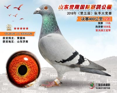 山东誉翔决赛12名