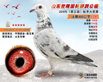 山东誉翔决赛13名